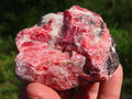 DRUZY