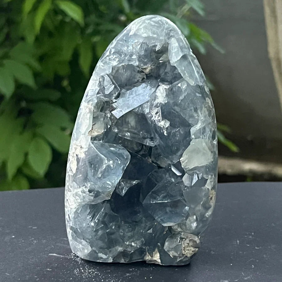 Geoda celestit