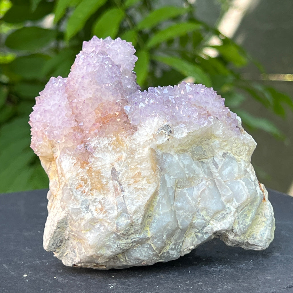 Specimen ametist cuart spirit din Africa de Sud | Model 20, pietre semipretioase - druzy.ro 7 