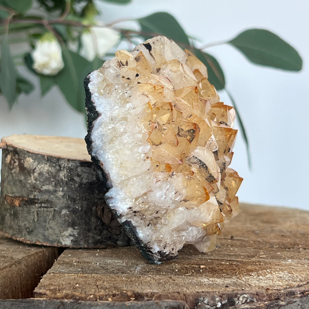 Cluster de Citrin tratat termic| Model 3, pietre semipretioase - druzy.ro 2 