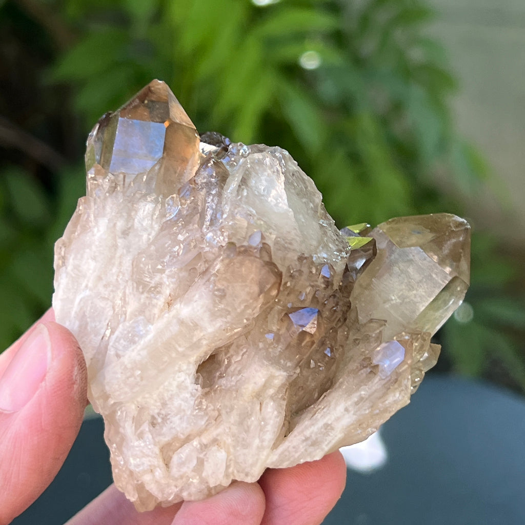 Citrin fumuriu din Congo – specimen natural, netratat | Model 3, pietre semipretioase - druzy.ro 3 