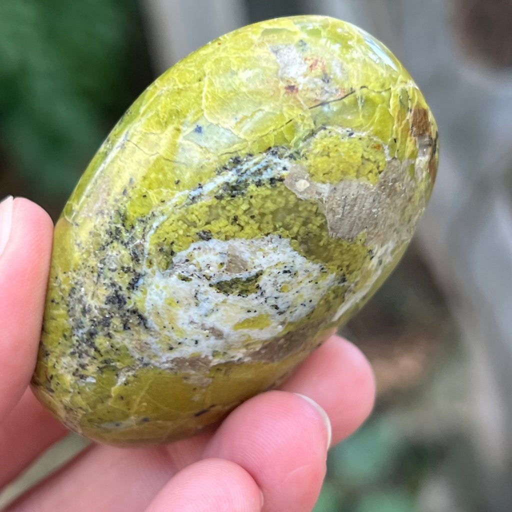 Opal verde palmstone m12, pietre semipretioase - druzy.ro 4 