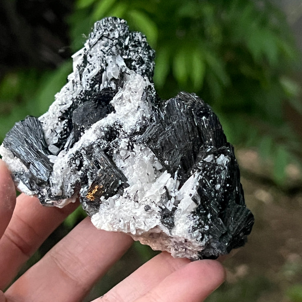 Cluster turmalina neagra model 11 din Erongo, Namibia, pietre semipretioase - druzy.ro 8 