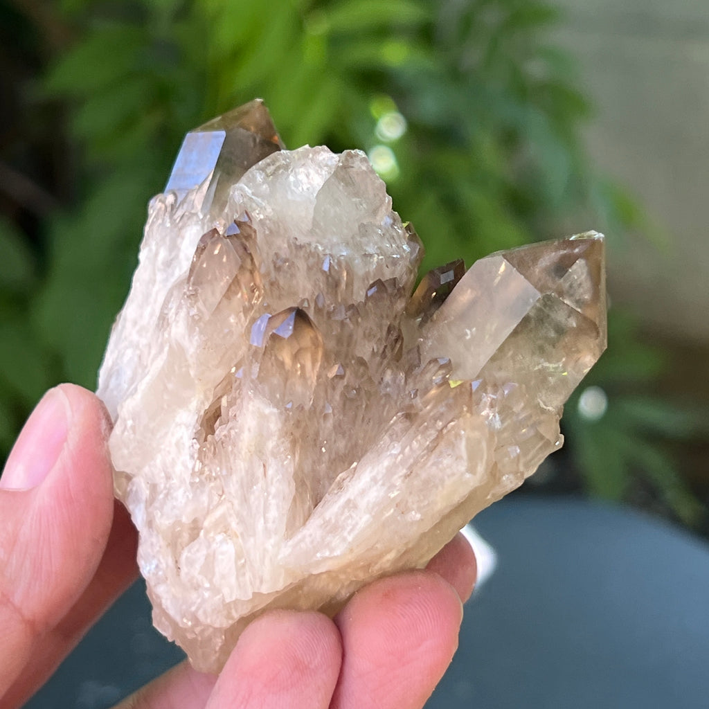 Citrin fumuriu din Congo – specimen natural, netratat | Model 3, pietre semipretioase - druzy.ro 5 