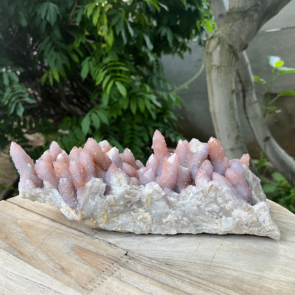 Specimen cluster cuart cactus / spirit ametist liliac Africa de Sud model XXL1, pietre semipretioase - druzy.ro 4 