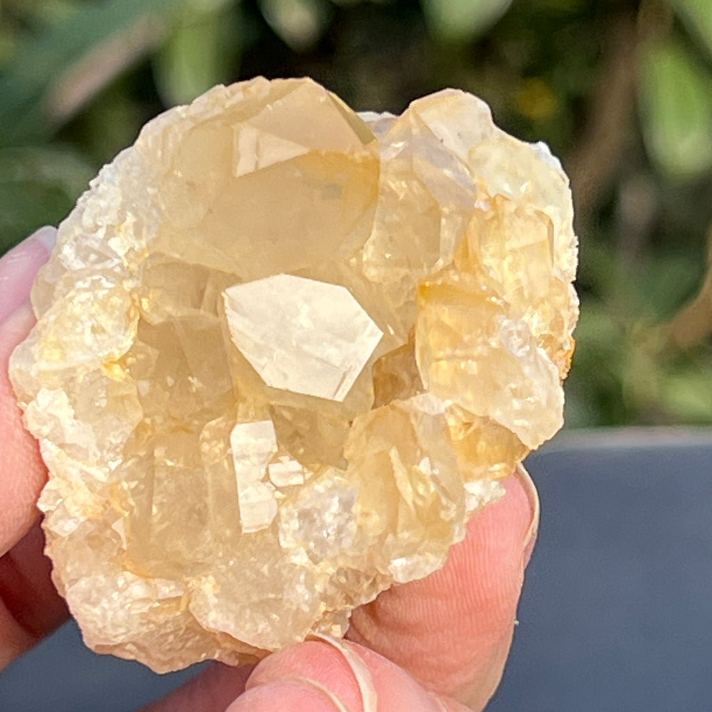 Cluster cuart lamaie Zambia, golden healer model 55, pietre semipretioase - druzy.ro 1 