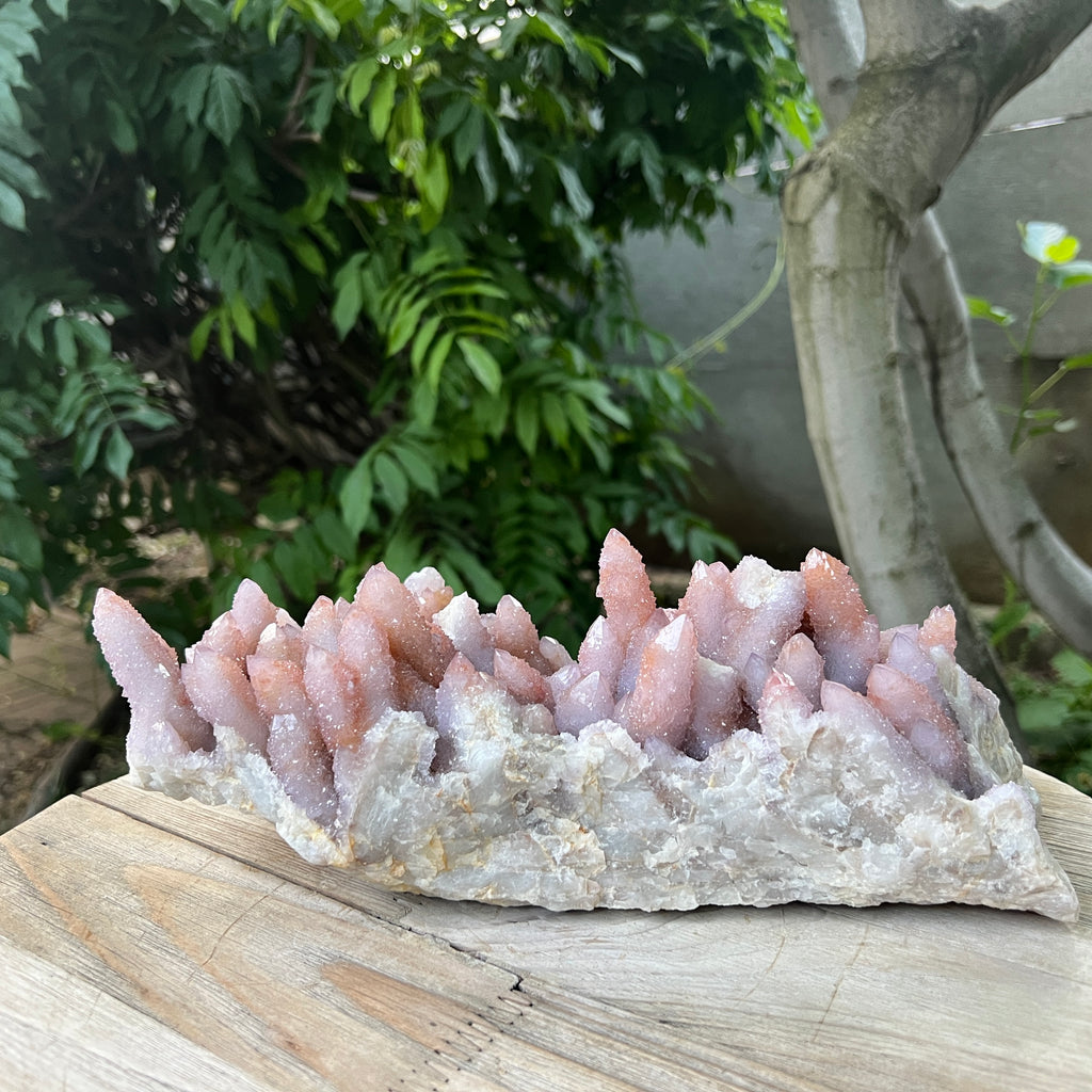 Specimen cluster cuart cactus / spirit ametist liliac Africa de Sud model XXL1, pietre semipretioase - druzy.ro 5 