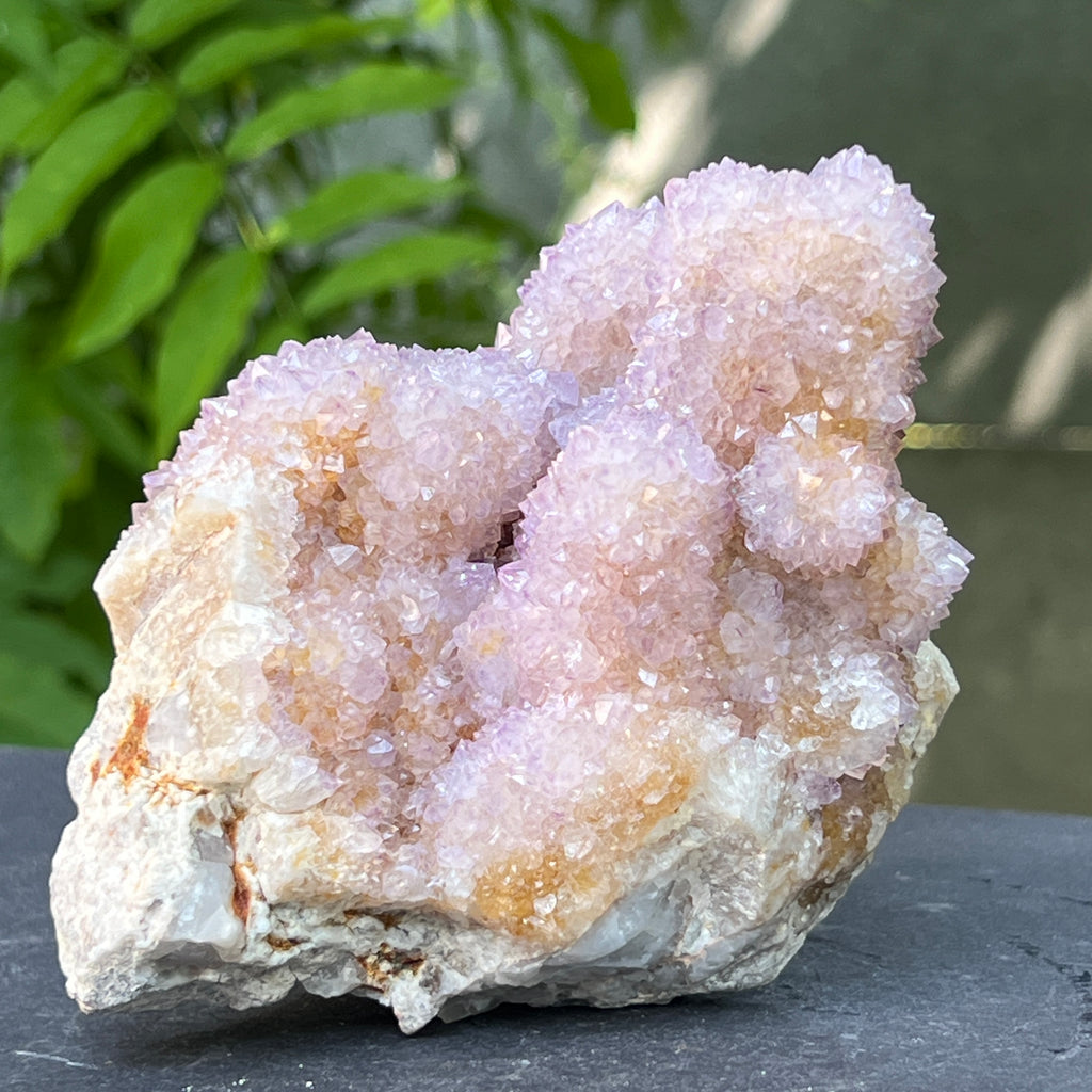 Specimen ametist cuart spirit din Africa de Sud | Model 20, pietre semipretioase - druzy.ro 8 