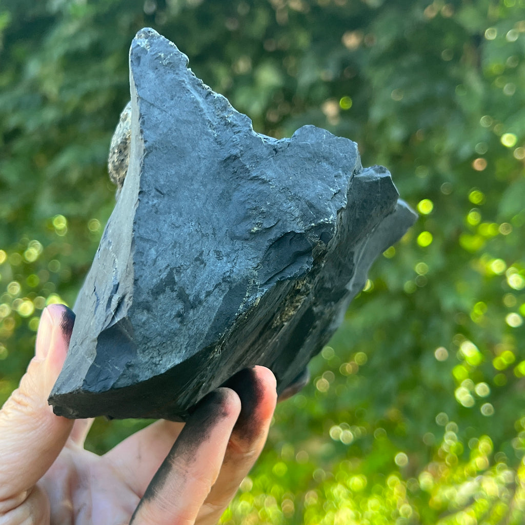 Shungit piatra bruta XXL model 5, pietre semipretioase - druzy.ro 2 