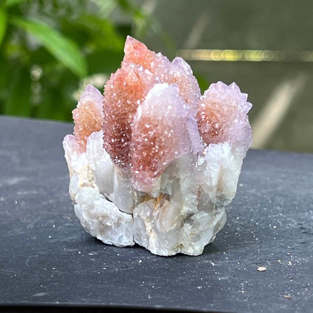 Specimen ametist cuart spirit din Africa de Sud | Model 11, pietre semipretioase - druzy.ro 3 