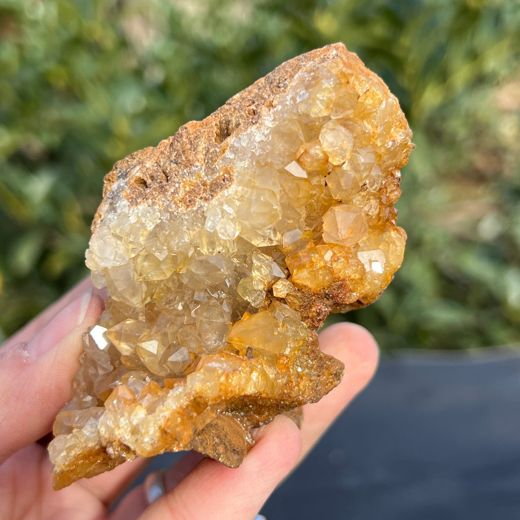 Cluster cuart lamaie Zambia, golden healer model 56, pietre semipretioase - druzy.ro 9 