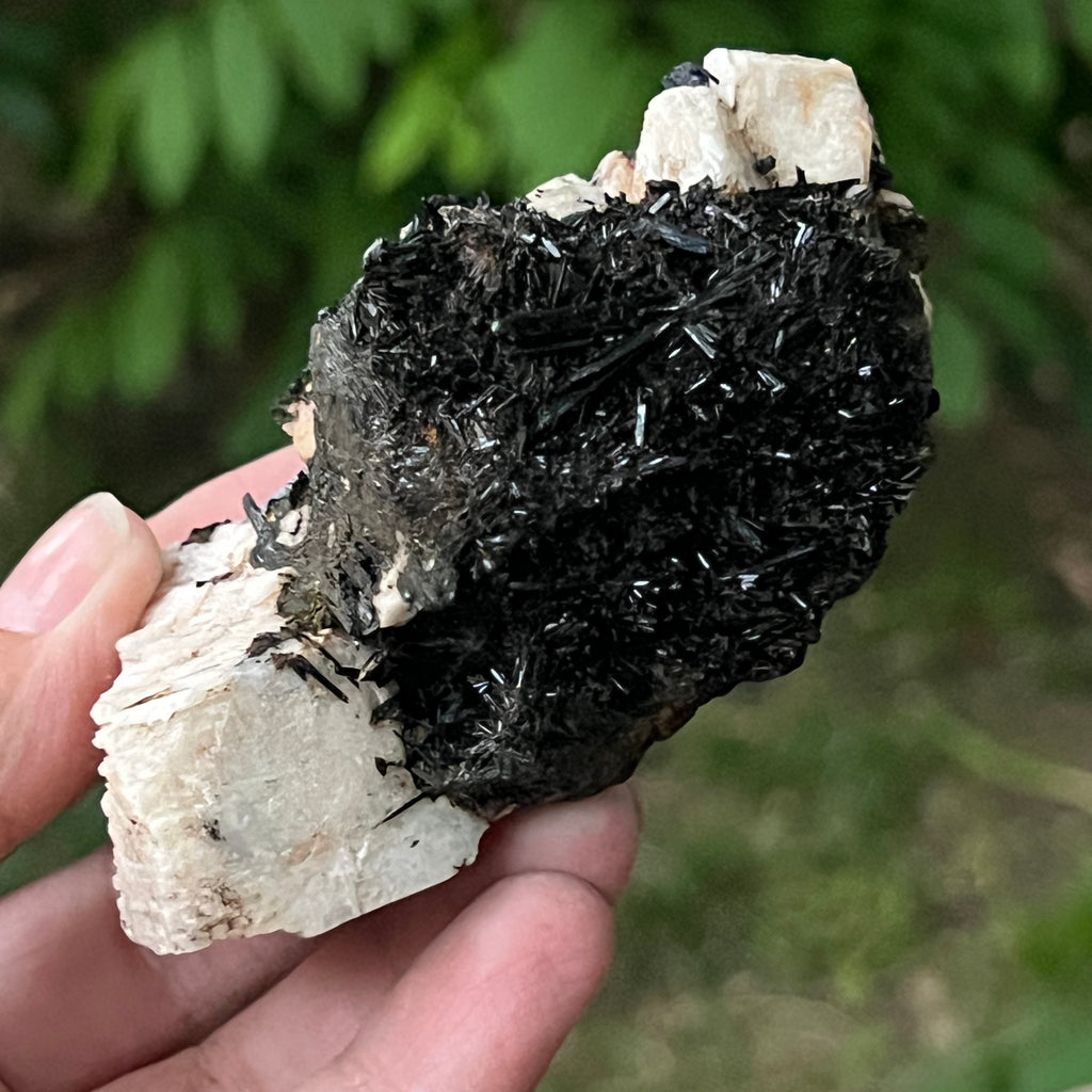 Cluster turmalina neagra model 10 din Erongo, Namibia, pietre semipretioase - druzy.ro 7 