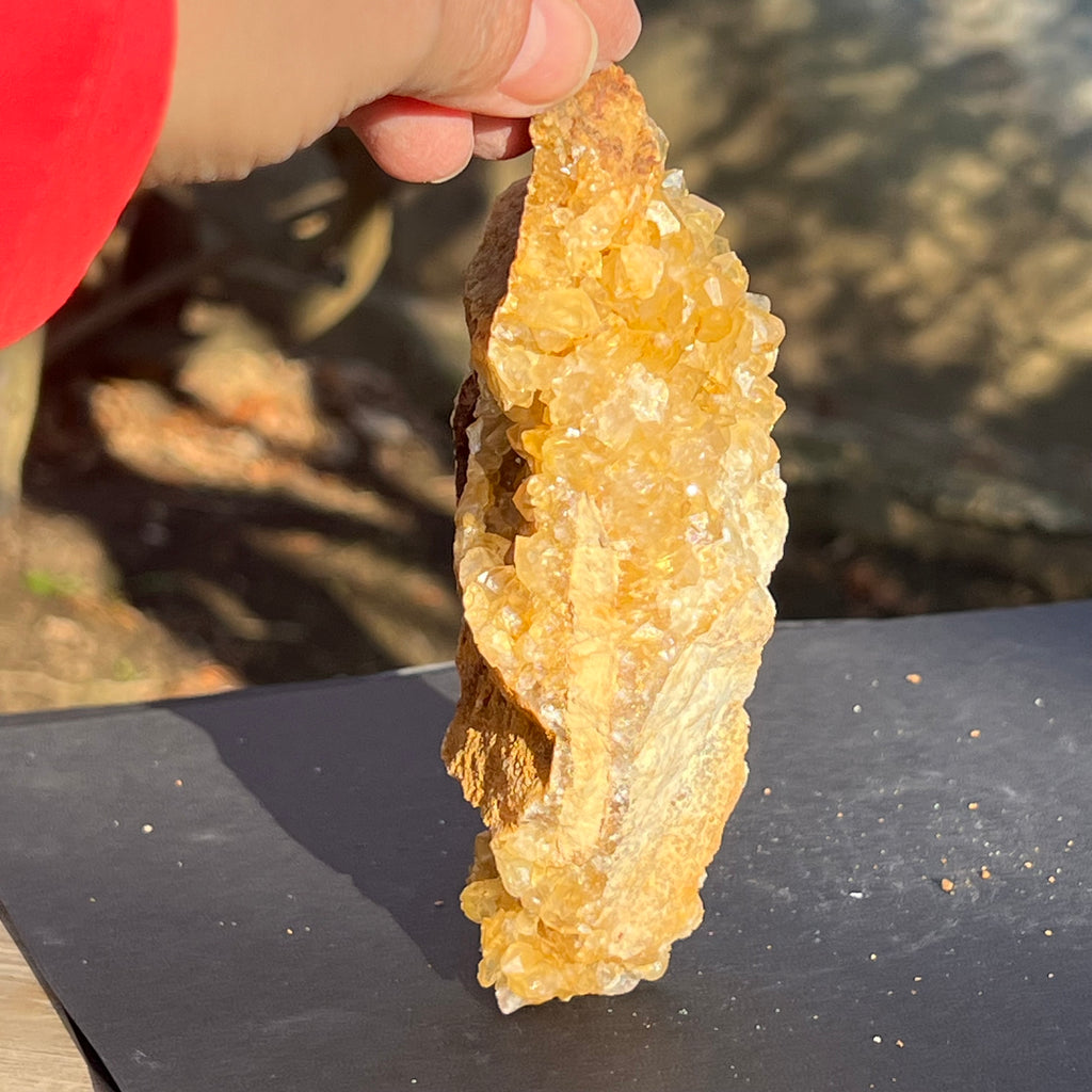 Cluster cuart lamaie, golden healer 4A/4, Zambia, druzy.ro, cristale 4