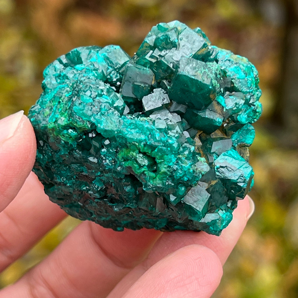 Dioptaz cluster din Congo model 10, pietre semipretioase - druzy.ro 6 