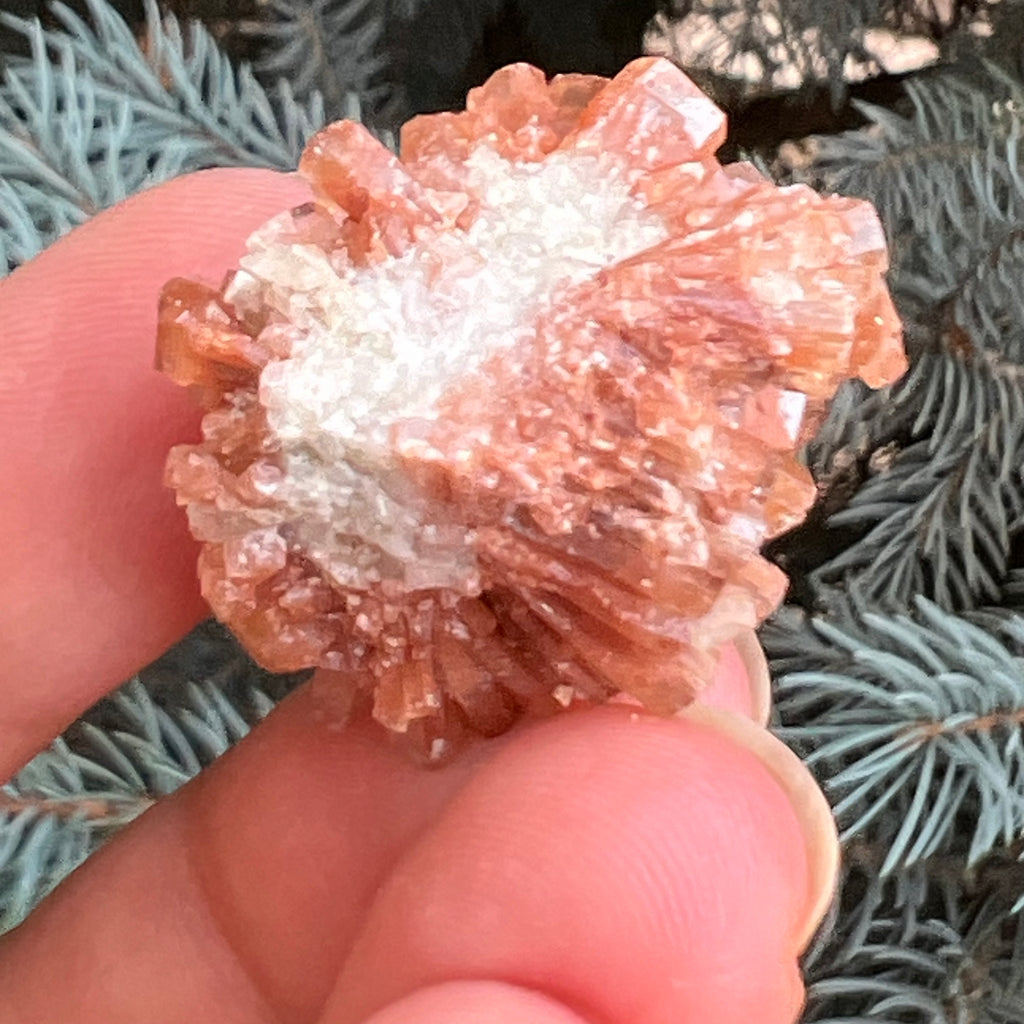 Cluster cristal aragonit din Maroc model 6, druzy.ro, pietre semipretioase 2