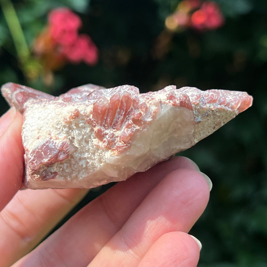 Cluster rosu hematoid din Zimbabwe model 8, pietre semipretioase - druzy.ro 6