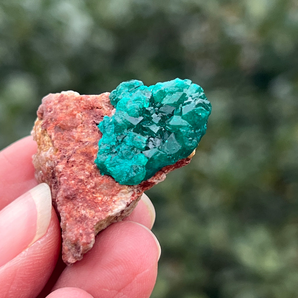 Dioptaz cluster din Congo model 29, pietre semipretioase - druzy.ro 3 