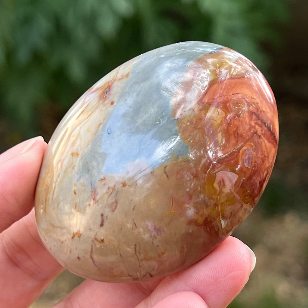 Jasp policrom palmstone m18, pietre semipretioase - druzy.ro 1 