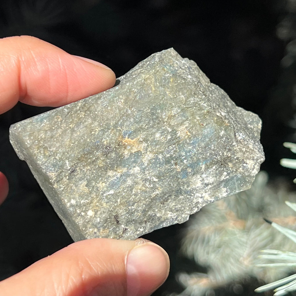Labradorit piatra bruta polisata pe o fata e6, druzy.ro, cristale 4