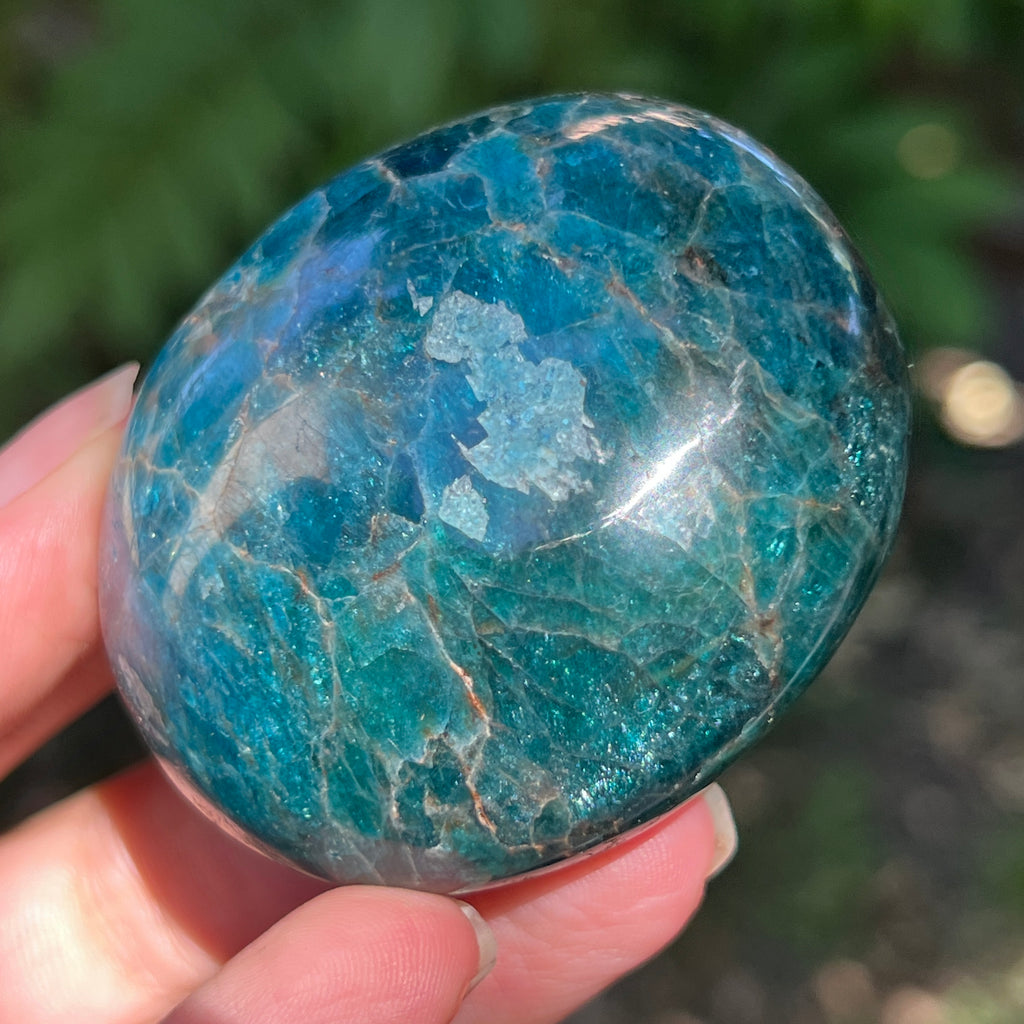 Apatit rulat palmstone | Model 18, pietre semipretioase - druzy.ro 4 