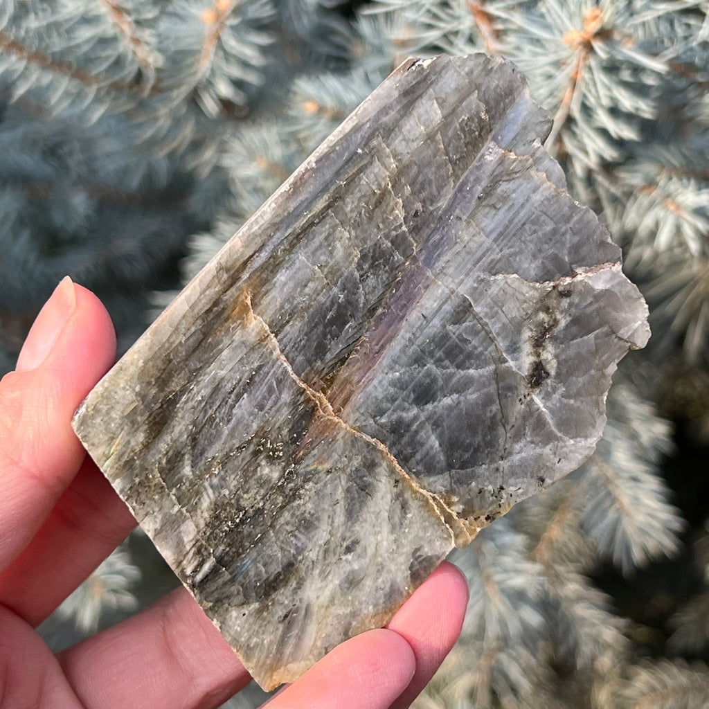 Labradorit piatra bruta polisata pe o fata din Madagascar model 8, druzy.ro, cristale 3