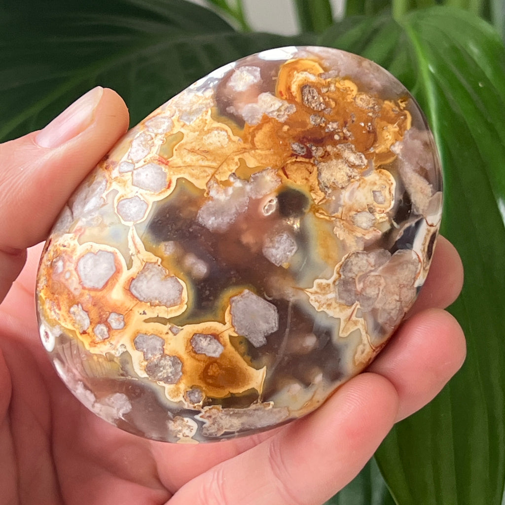 Palmstone agat coral floare rosu m32, pietre semipretioase - druzy.ro 1 