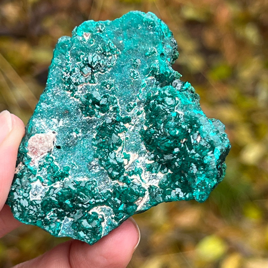 Dioptaz cluster din Congo model 1, pietre semipretioase - druzy.ro 5 