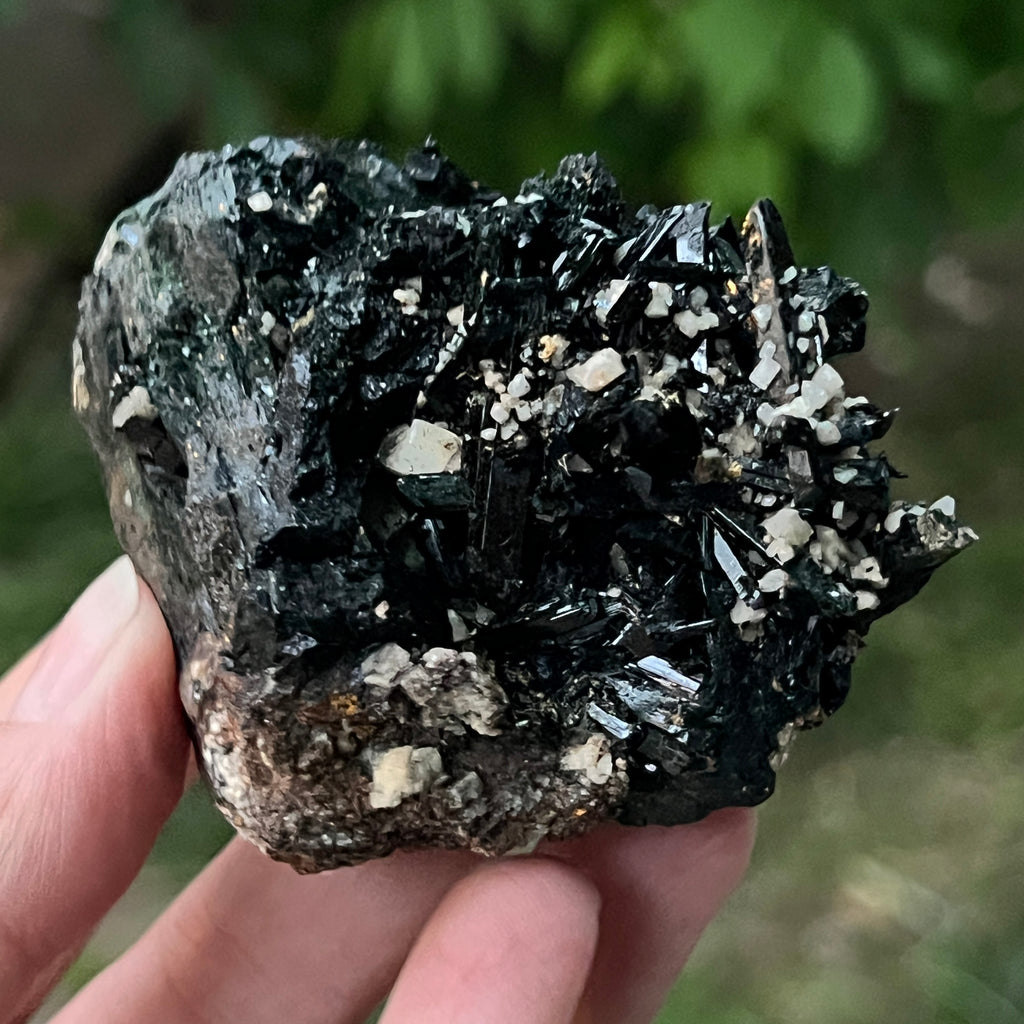 Cluster turmalina neagra model 3 din Erongo, Namibia, pietre semipretioase - druzy.ro 9 