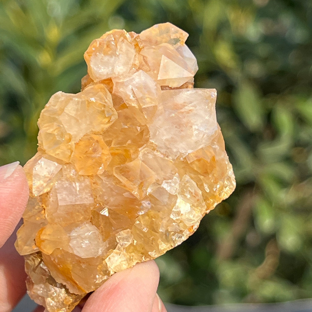 Cluster cuart lamaie Zambia, golden healer model 52, pietre semipretioase - druzy.ro 2 