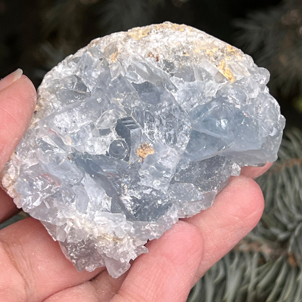 Celestit/ celestina cluster m3, pietre semipretioase - druzy.ro 1 