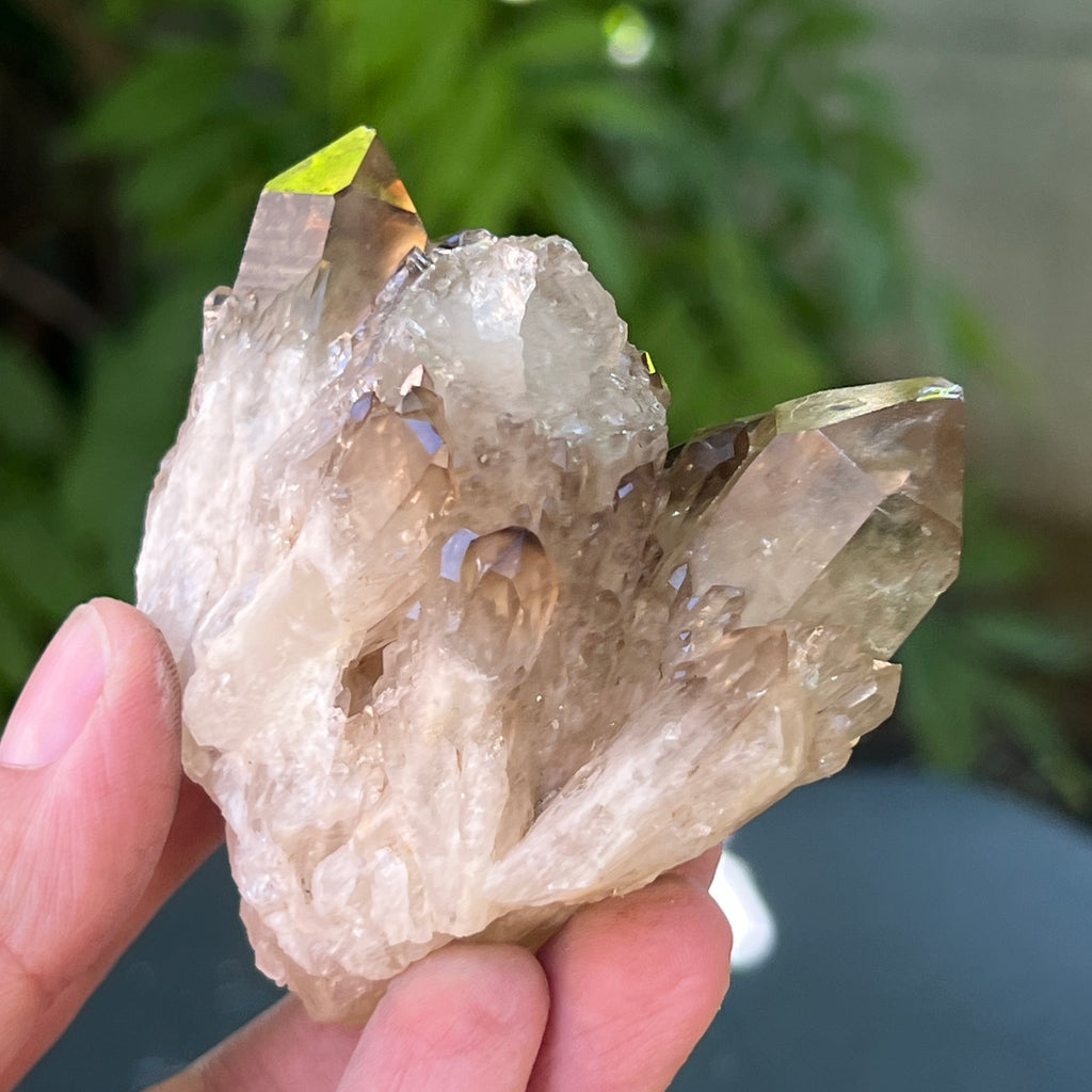 Citrin fumuriu din Congo – specimen natural, netratat | Model 3, pietre semipretioase - druzy.ro 4 