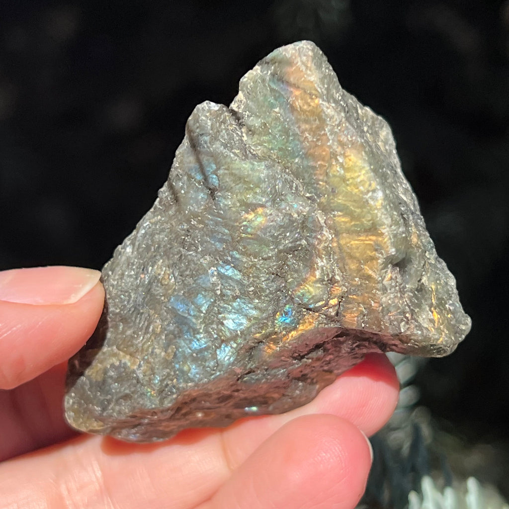 Labradorit piatra bruta polisata pe o fata m8, druzy.ro, cristale 1