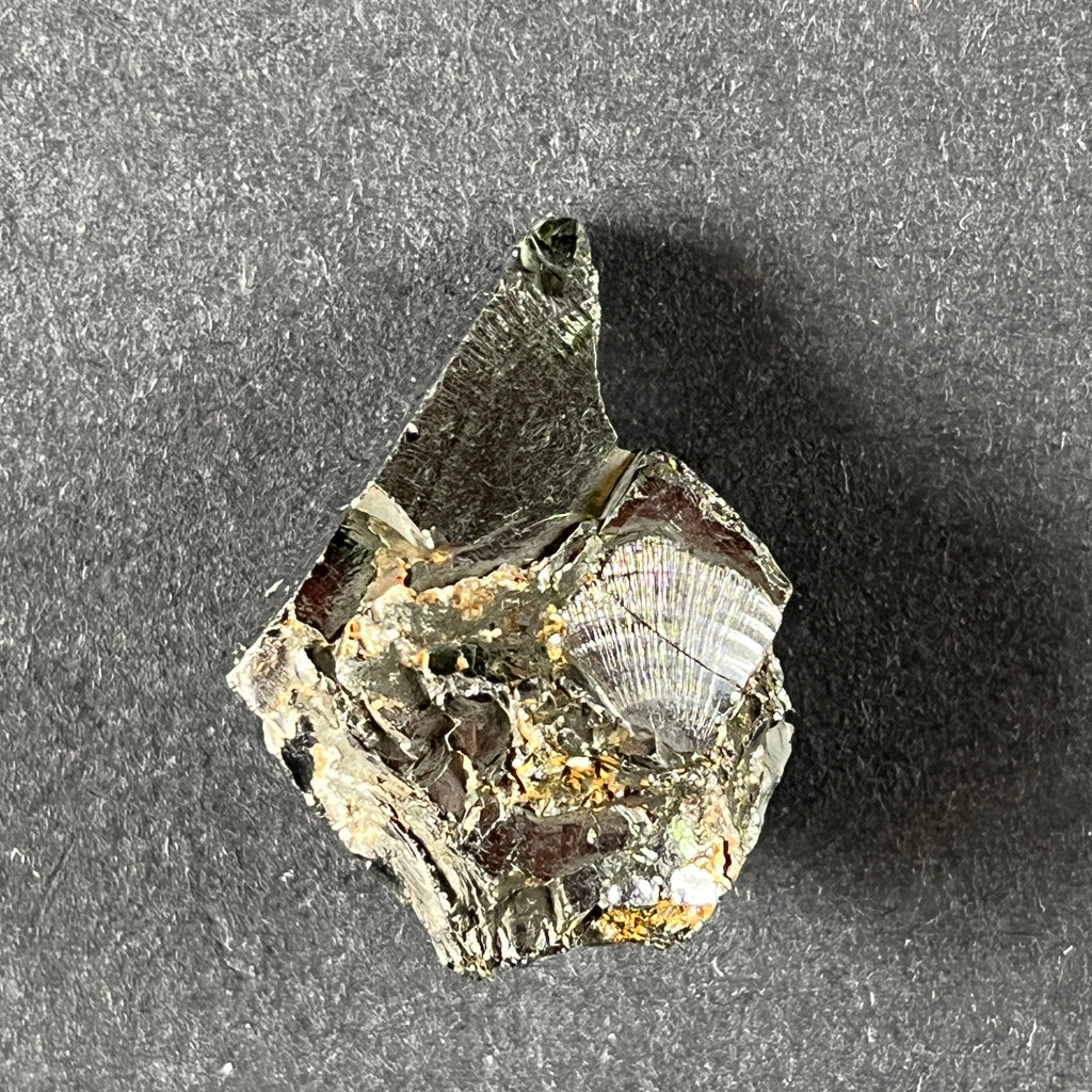 Shungit cristalizat Elite (Nobil) model 9, pietre semipretioase - druzy.ro 1 