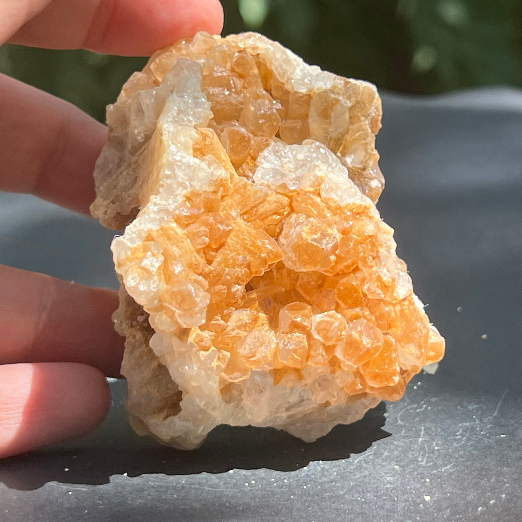 Cluster cuart lamaie Zambia, golden healer model Lm12, druzy.ro, pietre semipretioase 15