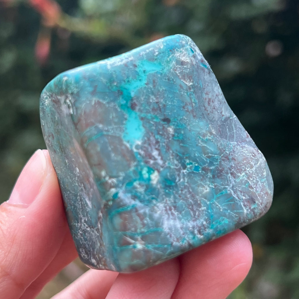 Shattuckite forma libera/palmstone m3, druzy.ro, pietre semipretioase 12