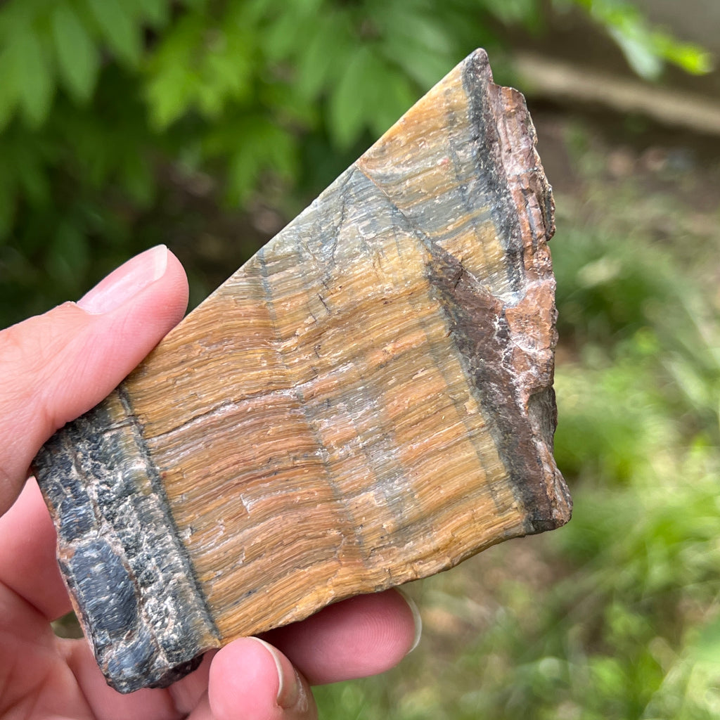 Piatra bruta ochi de tigru albastru (ochi de soim) model 5, pietre semipretioase - druzy.ro 4 