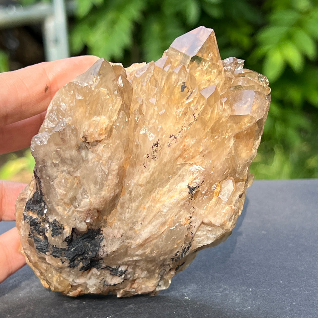 Citrin fumuriu din Congo – specimen natural, netratat | Model 6, pietre semipretioase - druzy.ro 2 