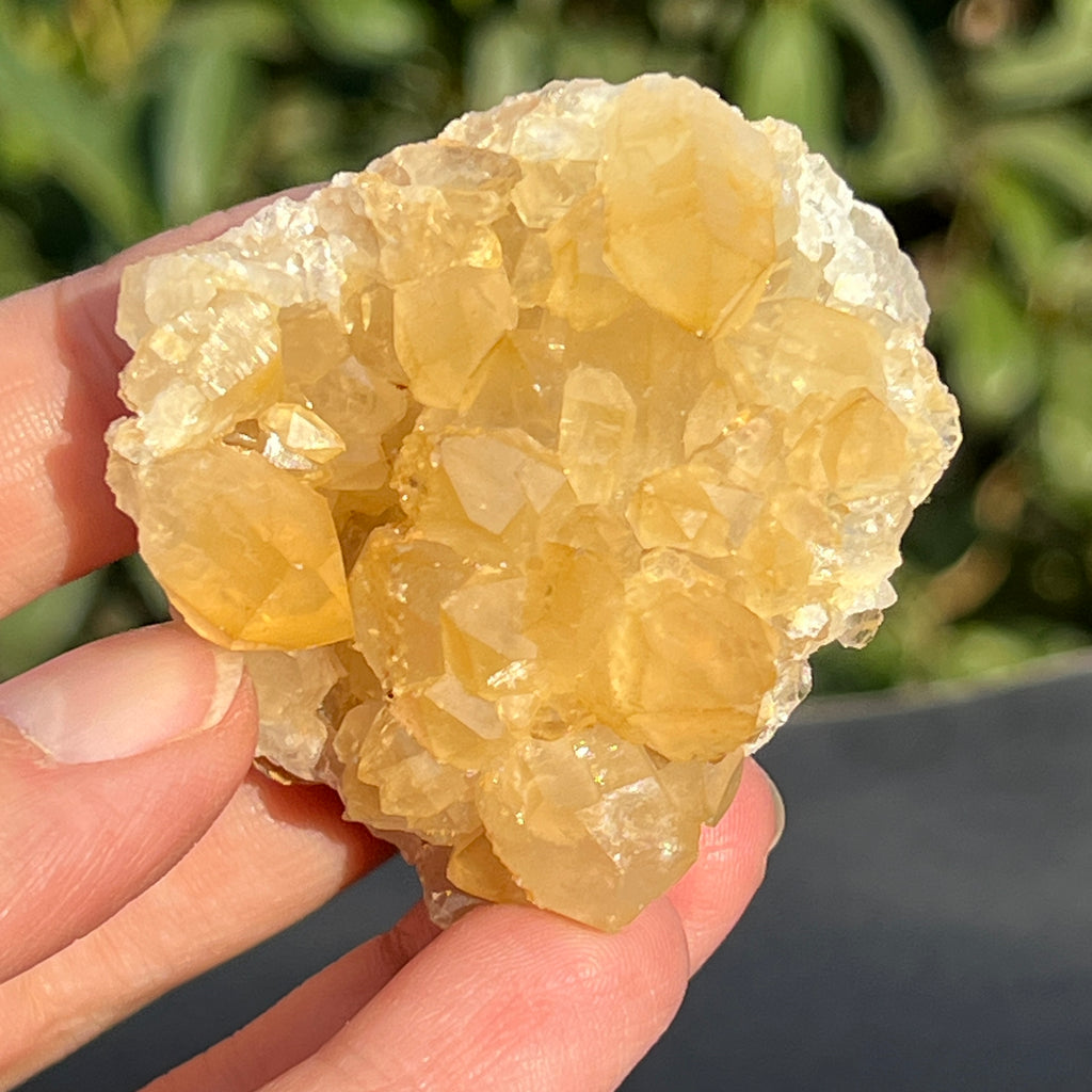 Cluster cuart lamaie Zambia, golden healer model 34, pietre semipretioase - druzy.ro 2 