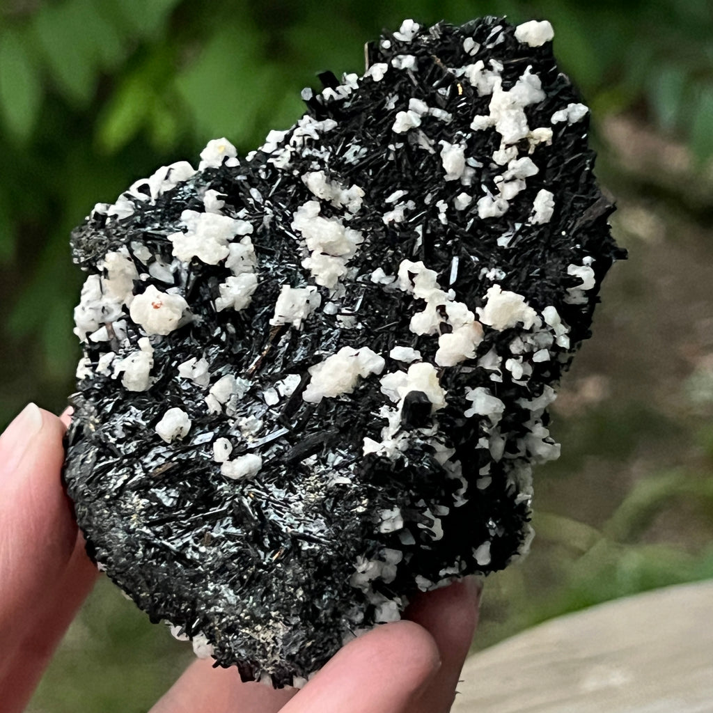 Cluster turmalina neagra model 7 din Erongo, Namibia, pietre semipretioase - druzy.ro 9 