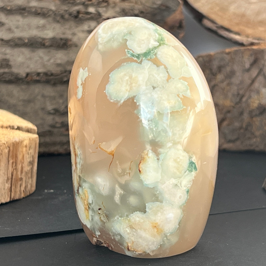 Agat coral floare din Madagascar model 12, pietre semipretioase - druzy.ro 2 