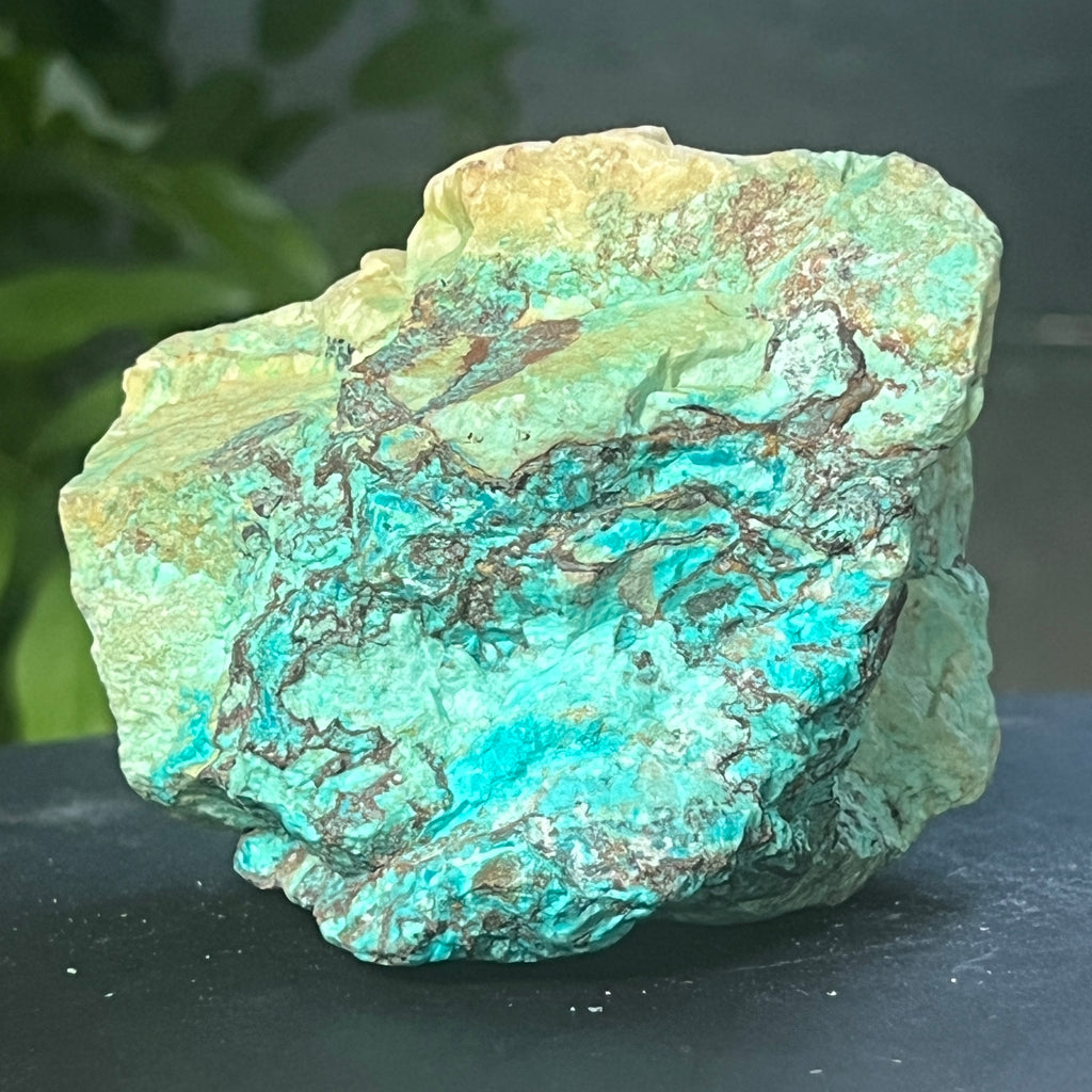 Piatra bruta Shattuckite m6, pietre semipretioase - druzy.ro 2 