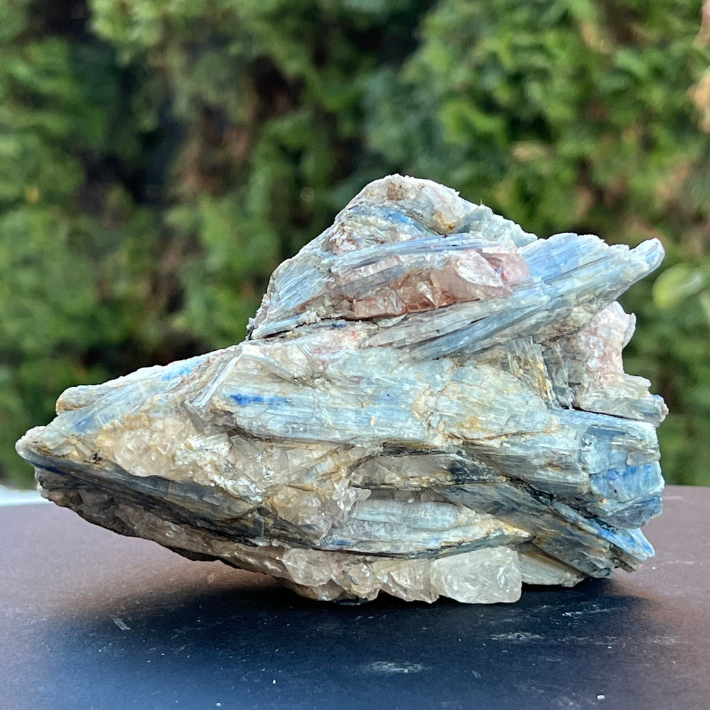Kianit albastru (Cianit) piatra bruta din Zimbabwe model c2/2, druzy.ro, cristale 1