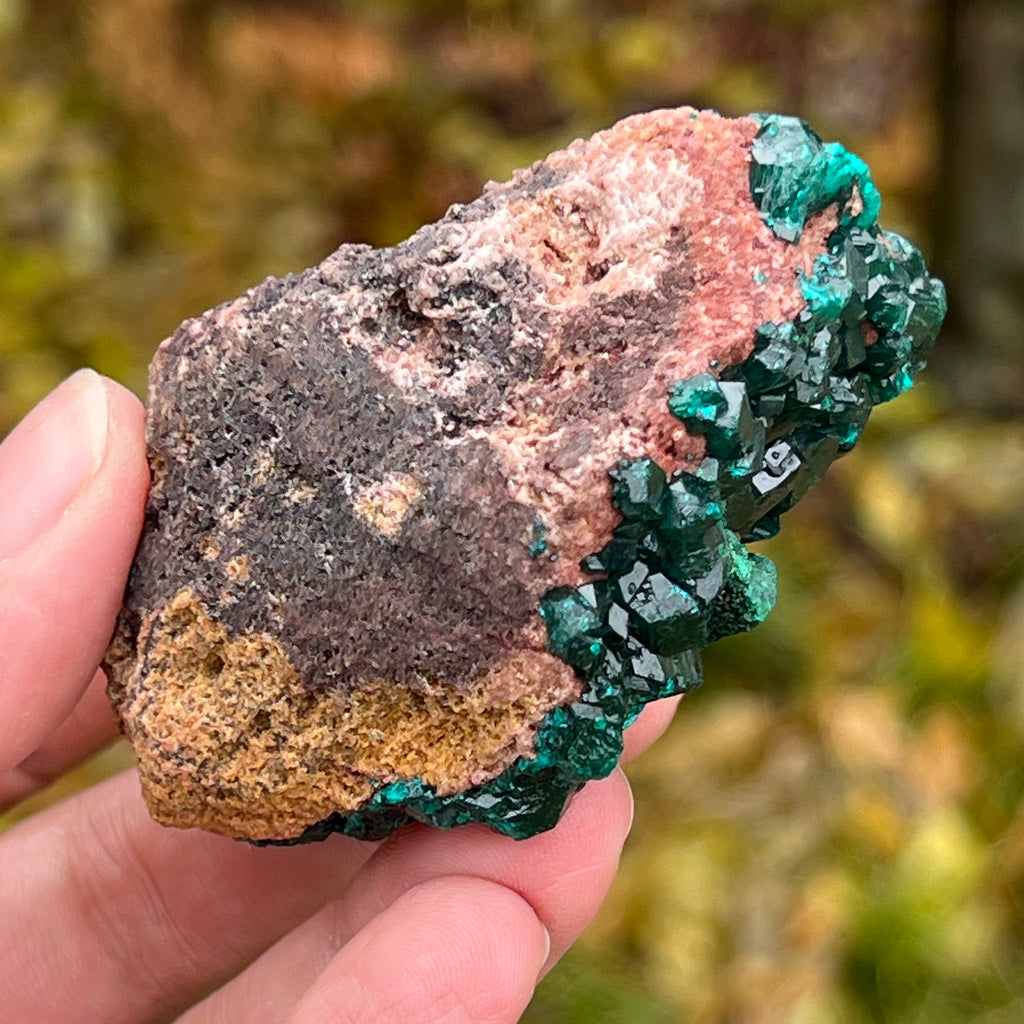 Dioptaz cluster din Congo model 12, pietre semipretioase - druzy.ro 12 