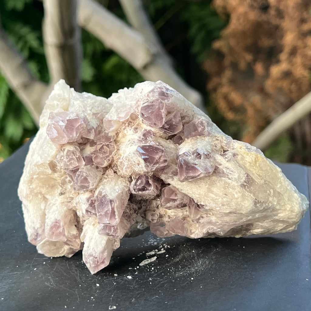 Cluster ametist sweet model 5a/10, din Zambia, druzy.ro, cristale 4