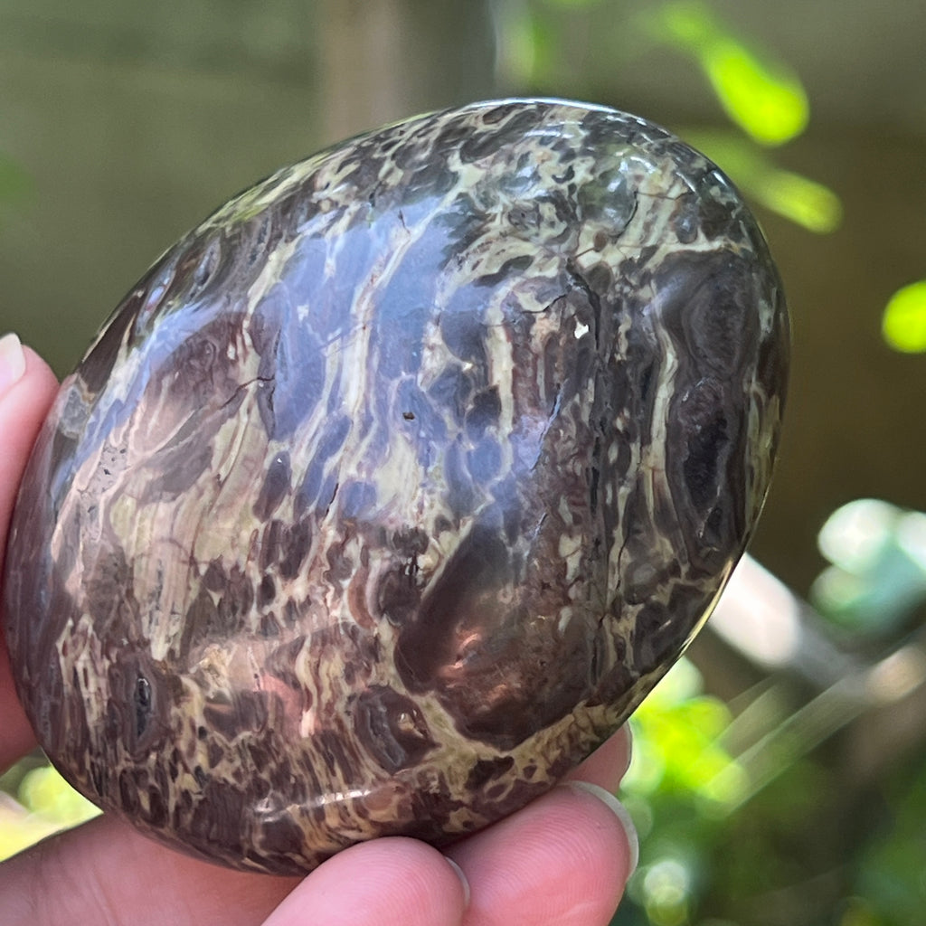 Palmstone riolit de munte | Model 2, pietre semipretioase - druzy.ro 3 