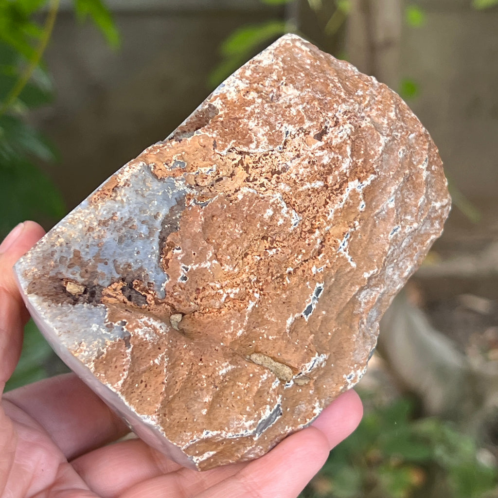 Geoda agat ametist model 12, pietre semipretioase - druzy.ro 3 