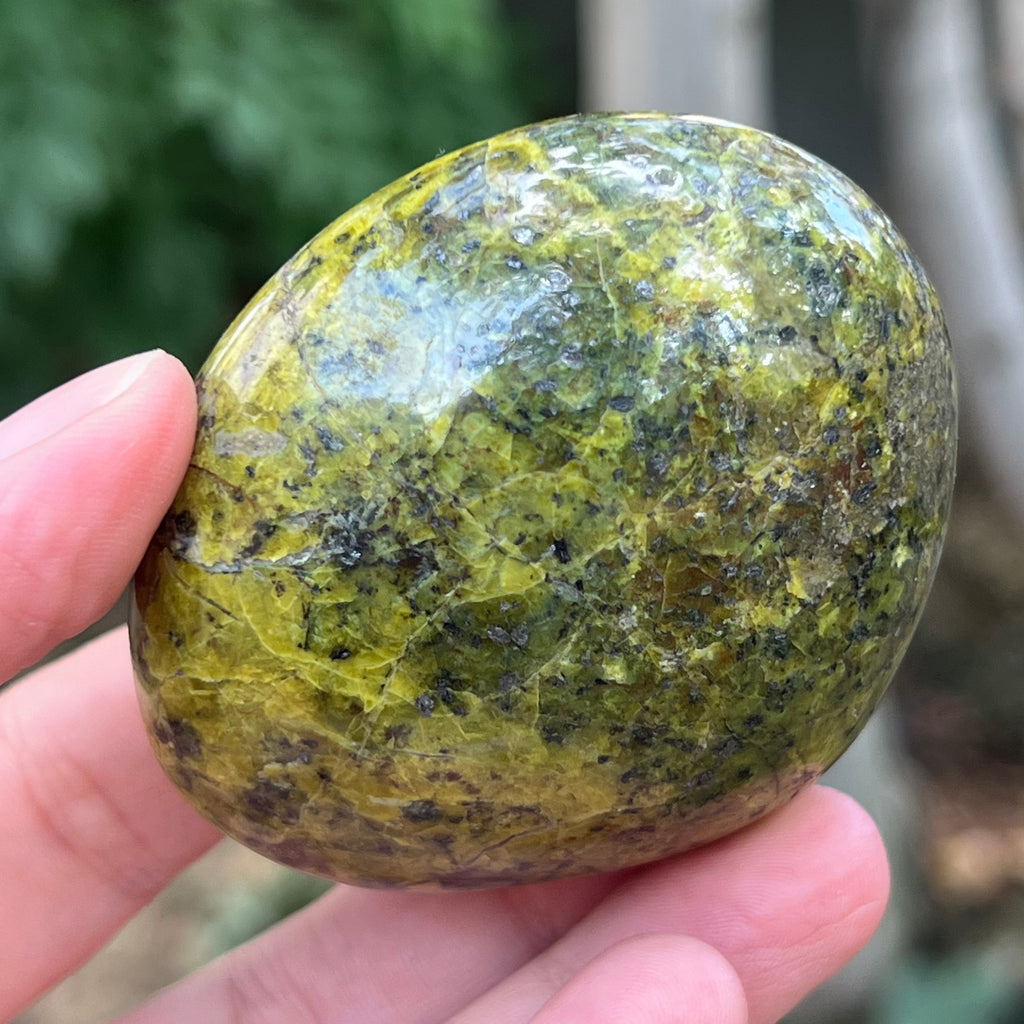 Opal verde palmstone m9, pietre semipretioase - druzy.ro 4 