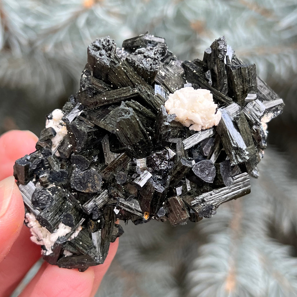 Cluster turmalina neagra model 2 din Erongo, Namibia, druzy.ro, cristale 6