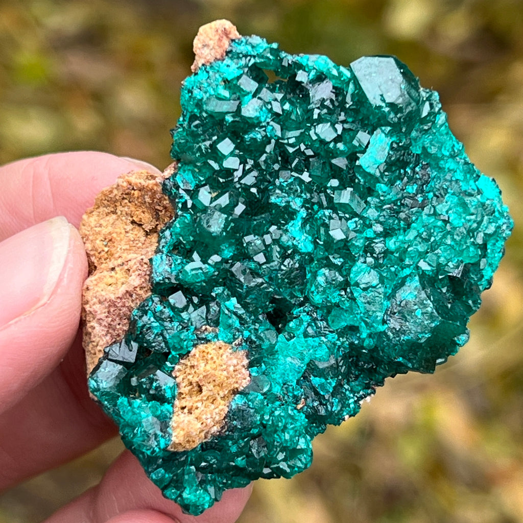 Dioptaz cluster din Congo model 3, pietre semipretioase - druzy.ro 1 