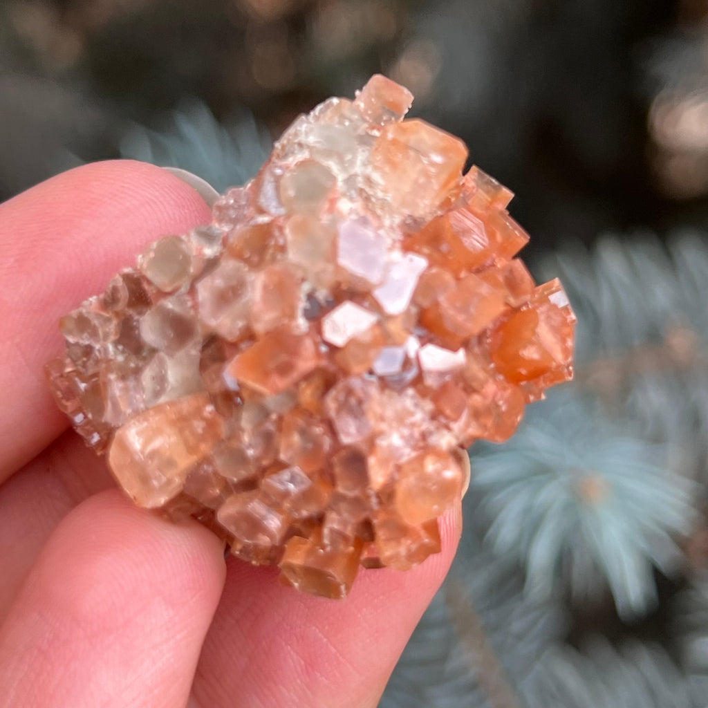 Cluster cristal aragonit din Maroc model 10, druzy.ro, pietre semipretioase 1